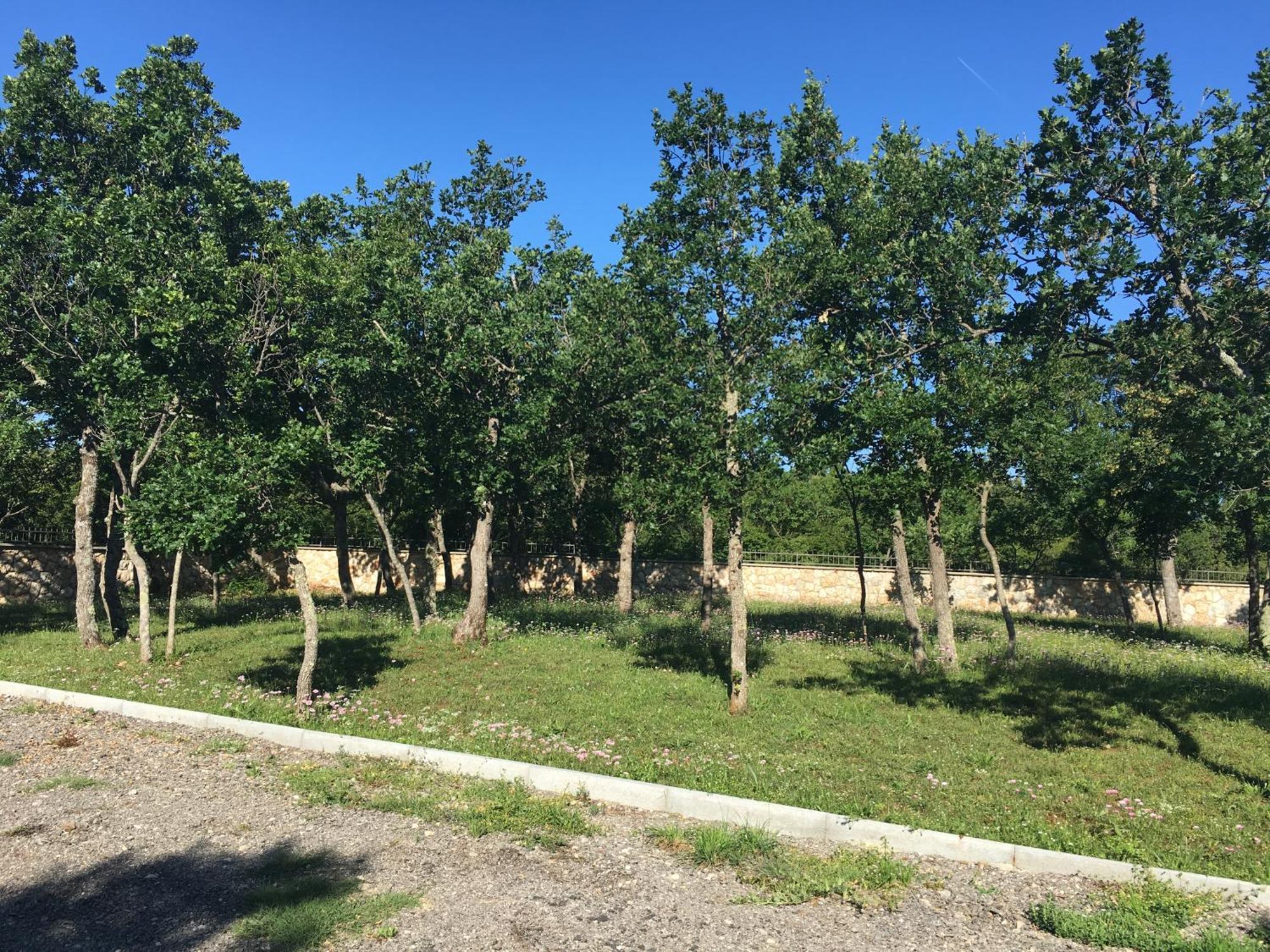 Micanovi Dvori Mobile Home Village Zrmanja Obrovac Esterno foto